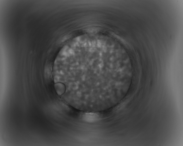 X0000086730240200705041354