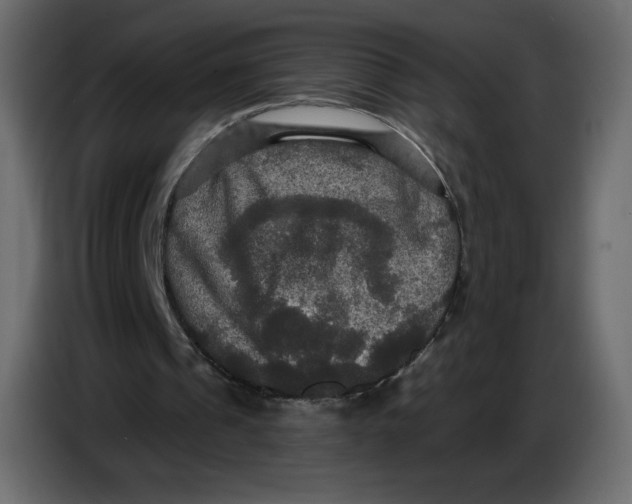 X0000086730241200705041353