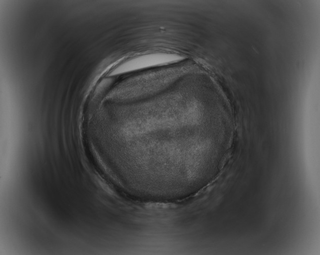 X0000086730242200705041353