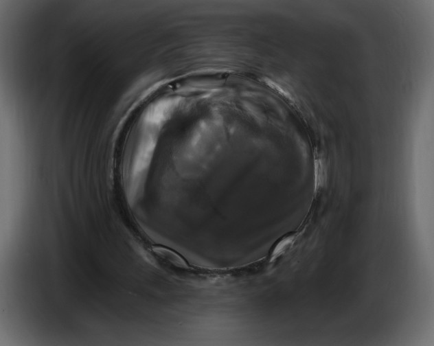 X0000086730243200705041353