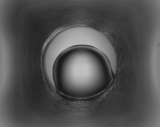 X0000086730244200705041353