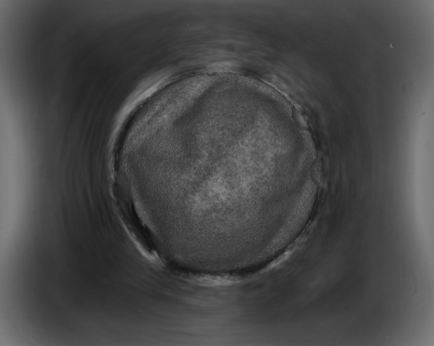 X0000086730245200705041353