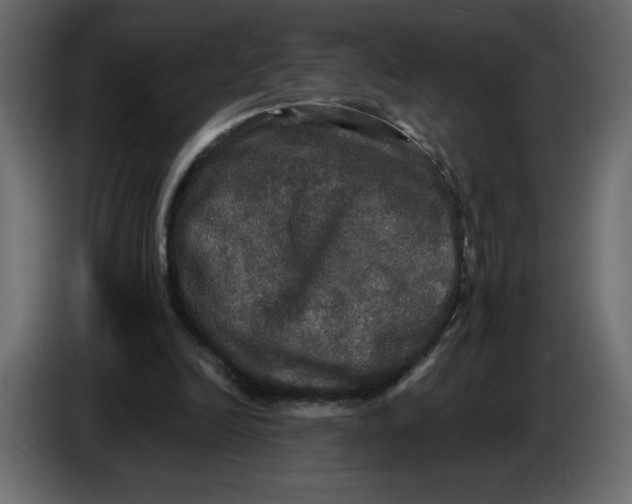 X0000086730246200705041353