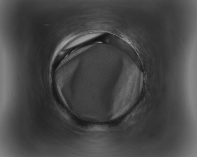 X0000086730248200705041353