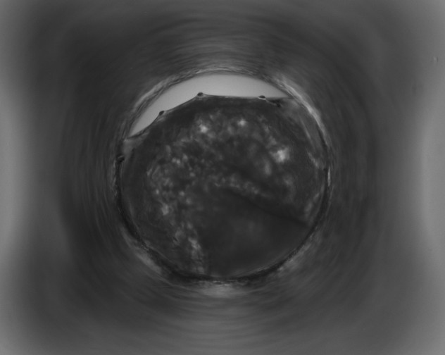 X0000086730249200705041353