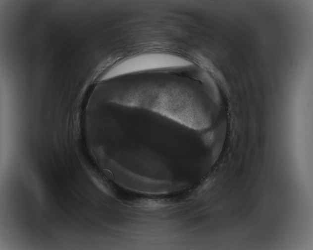 X0000086730250200705041353