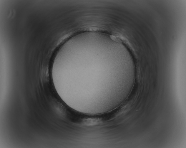 X0000086730251200705041353