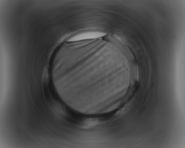 X0000086730252200705041353