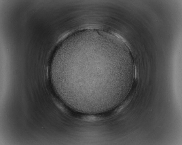 X0000086730253200705041353