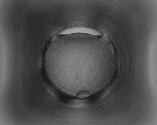 X0000086730255200705041353