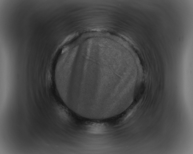 X0000086730256200705041353