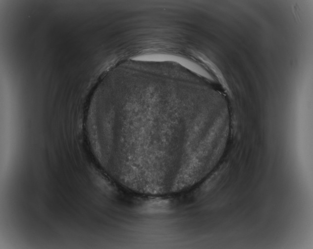 X0000086730257200705041353