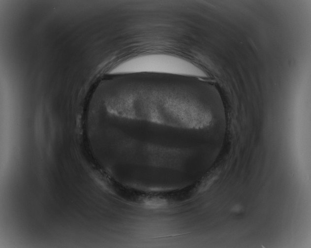 X0000086730258200705041353