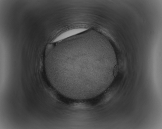 X0000086730259200705041353