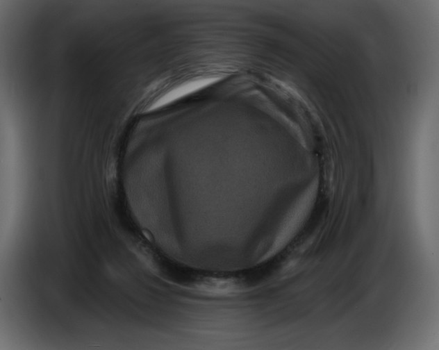 X0000086730260200705041353