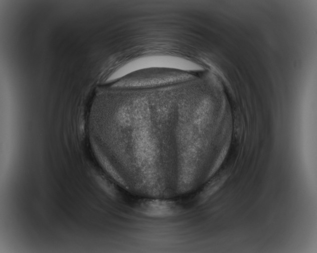 X0000086730261200705041353
