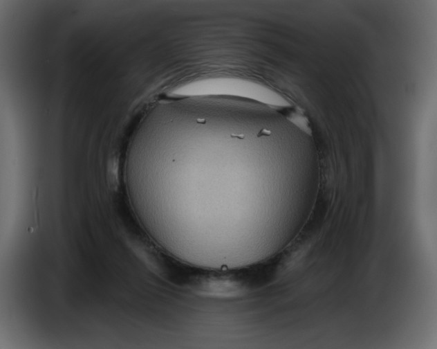 X0000086730262200705041353