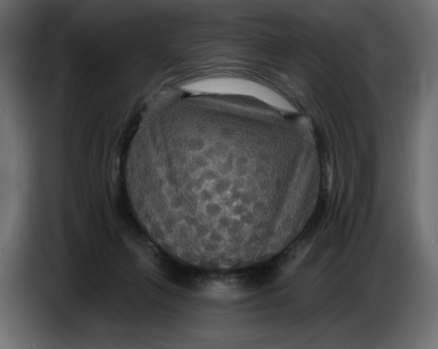 X0000086730263200705041353