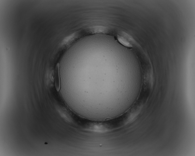 X0000086730264200705041353