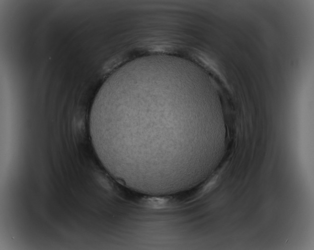 X0000086730265200705041353