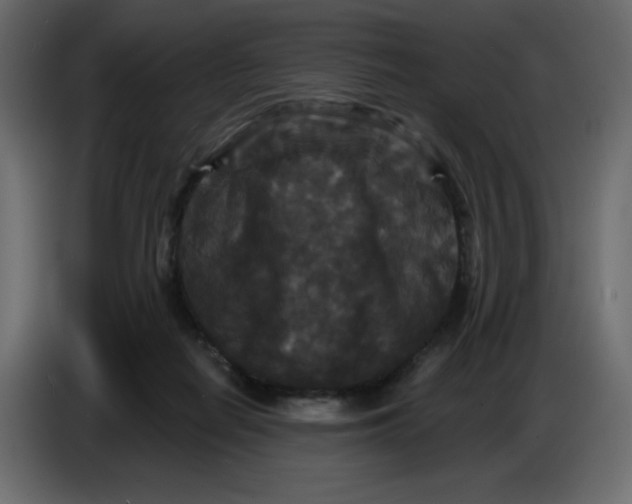 X0000086730266200705041353