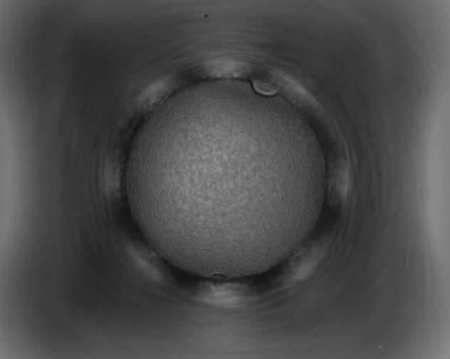 X0000086730268200705041353
