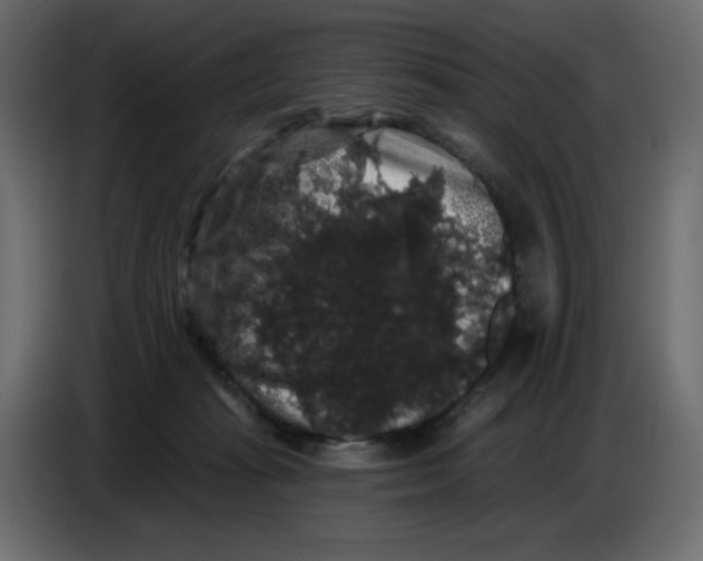 X0000086730269200705041353