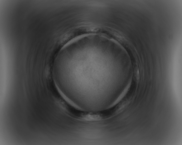 X0000086730270200705041353