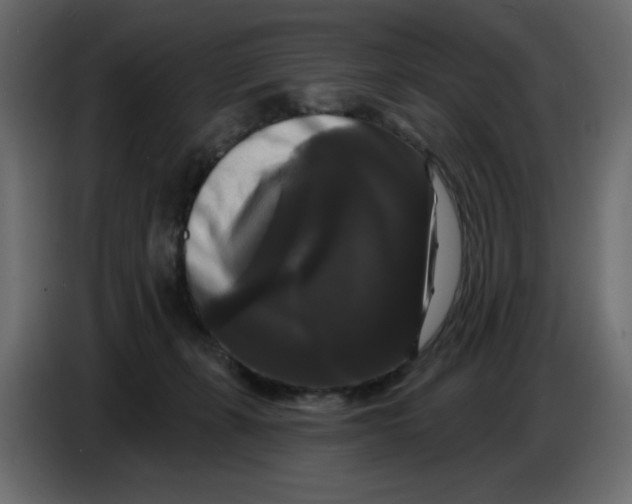 X0000086730271200705041353