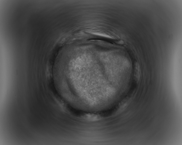 X0000086730272200705041353