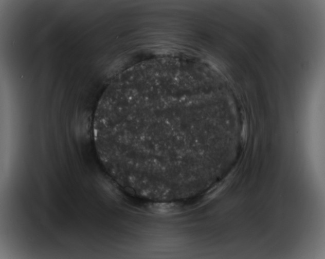 X0000086730273200705041353