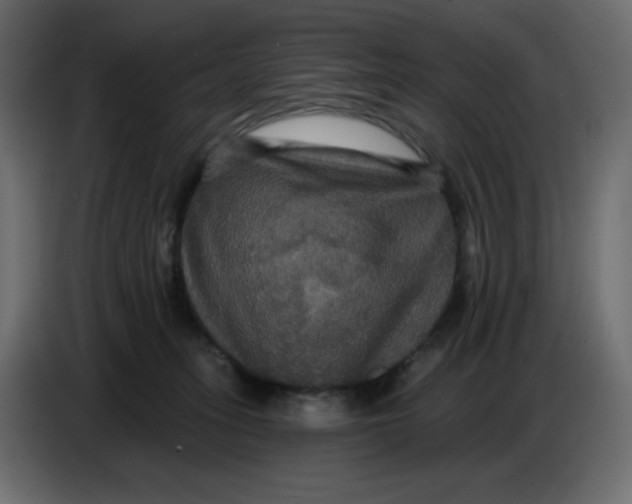 X0000086730275200705041353