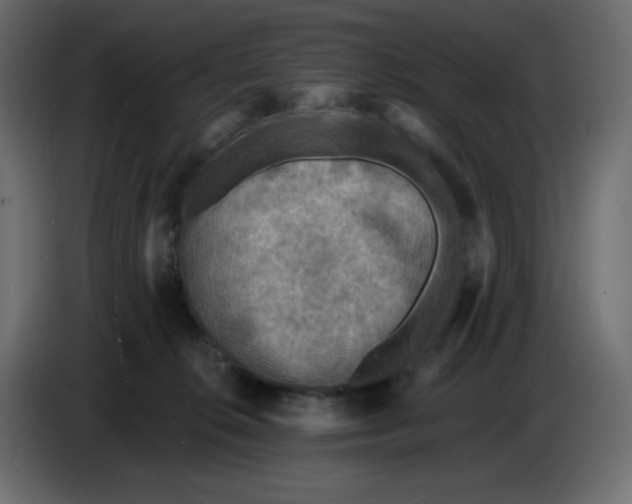 X0000086730276200705041353