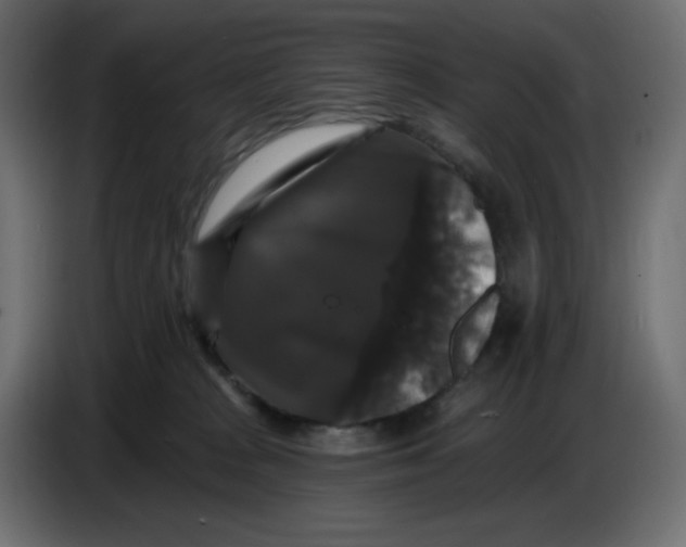 X0000086730277200705041353