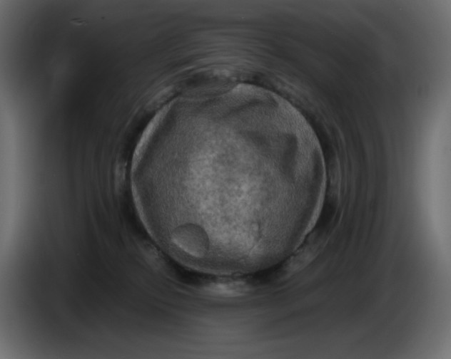 X0000086730278200705041354