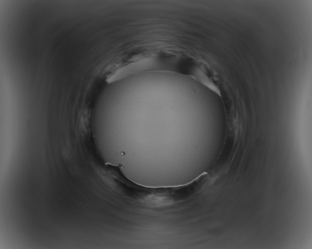 X0000086730280200705041354