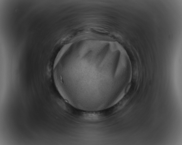X0000086730282200705041354