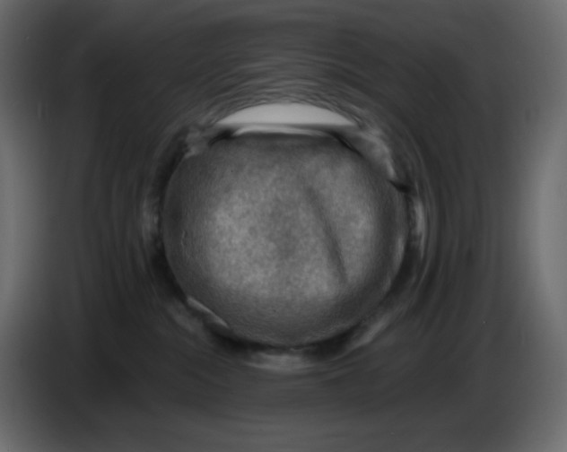 X0000086730284200705041354