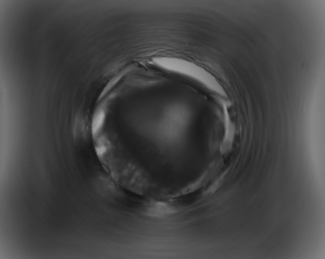 X0000086730285200705041354