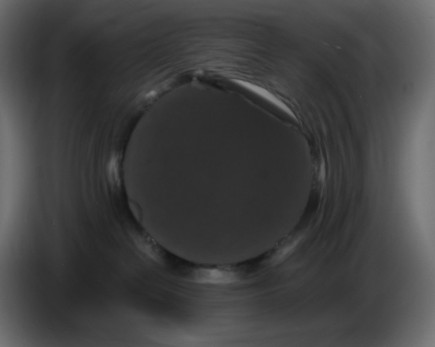 X0000086730286200705041354