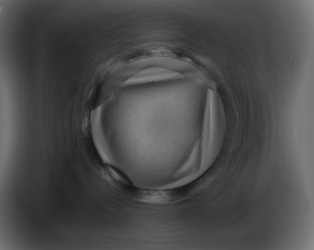 X0000086730288200705041354