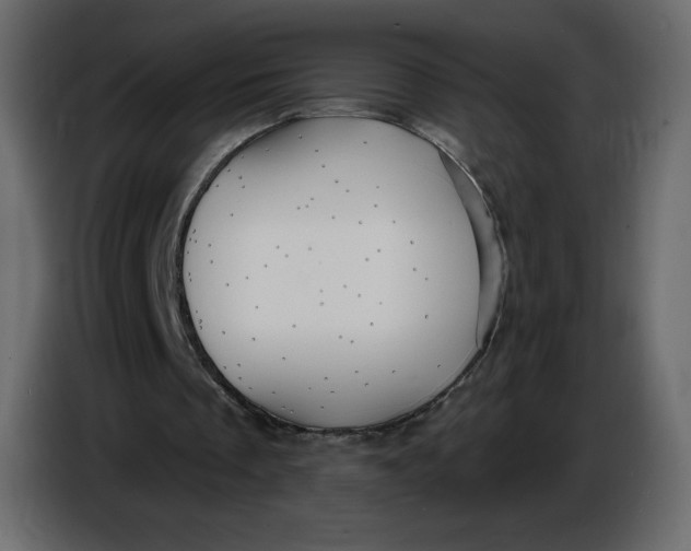 X0000086730289200705041353
