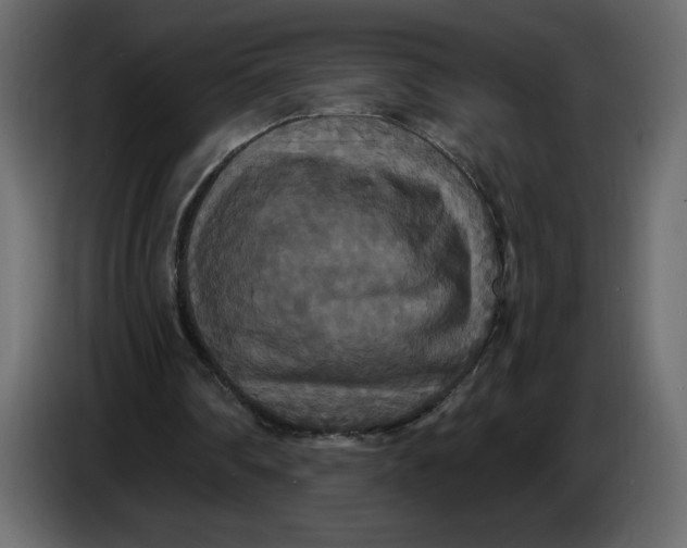X0000086730290200705041353
