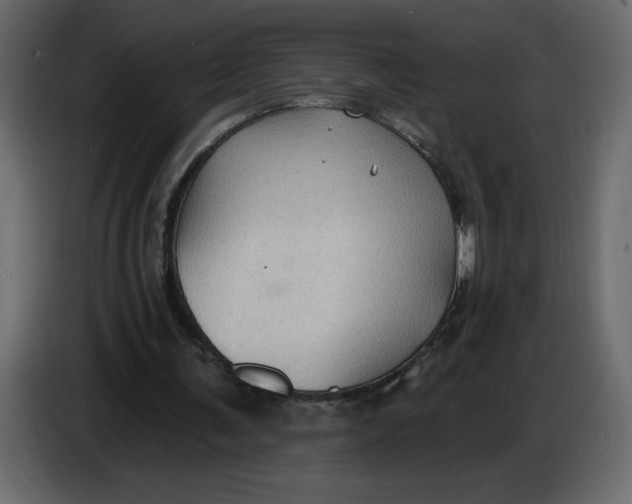 X0000086730291200705041353