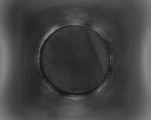 X0000086730292200705041353