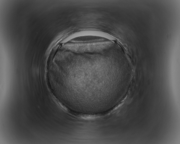 X0000086730293200705041353