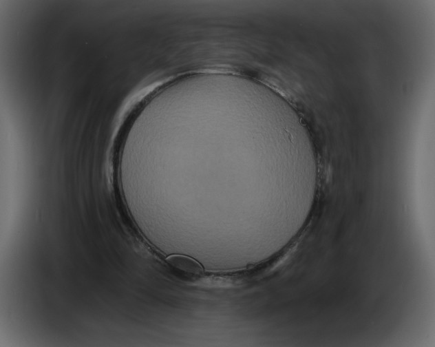 X0000086730294200705041353