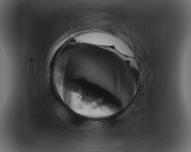 X0000086730295200705041353