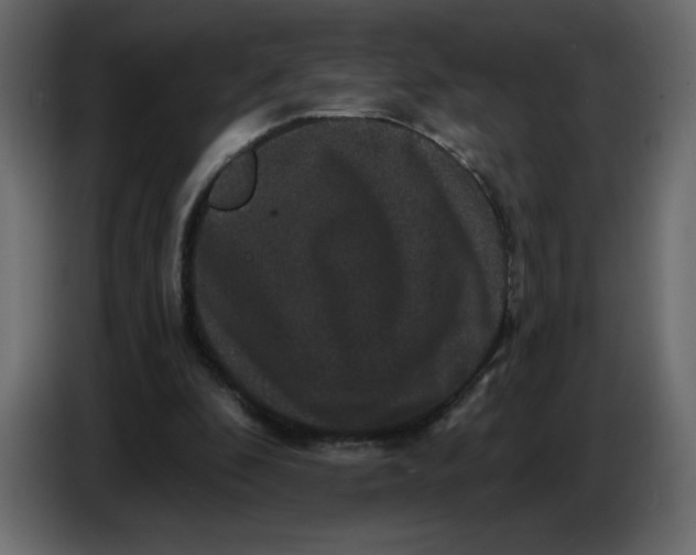 X0000086730296200705041353