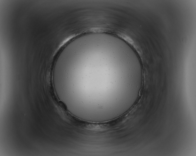 X0000086730297200705041353